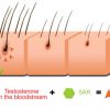 Best Natural DHT Blockers DHT Hair Loss