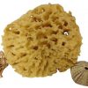 Natural Sea Sponges for Skin Mother Ocean Naturals Wool Sea Sponge