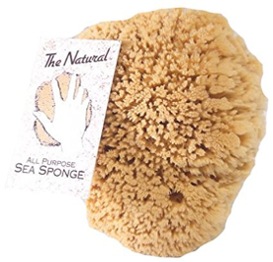 The Natural Sea Sponge